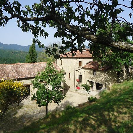 Agriturismo I Monti Di Salecchio Palazzuolo Sul Senio Dış mekan fotoğraf