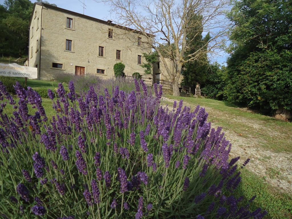 Agriturismo I Monti Di Salecchio Palazzuolo Sul Senio Dış mekan fotoğraf