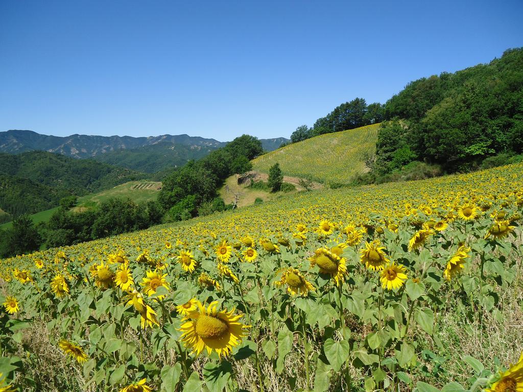 Agriturismo I Monti Di Salecchio Palazzuolo Sul Senio Dış mekan fotoğraf